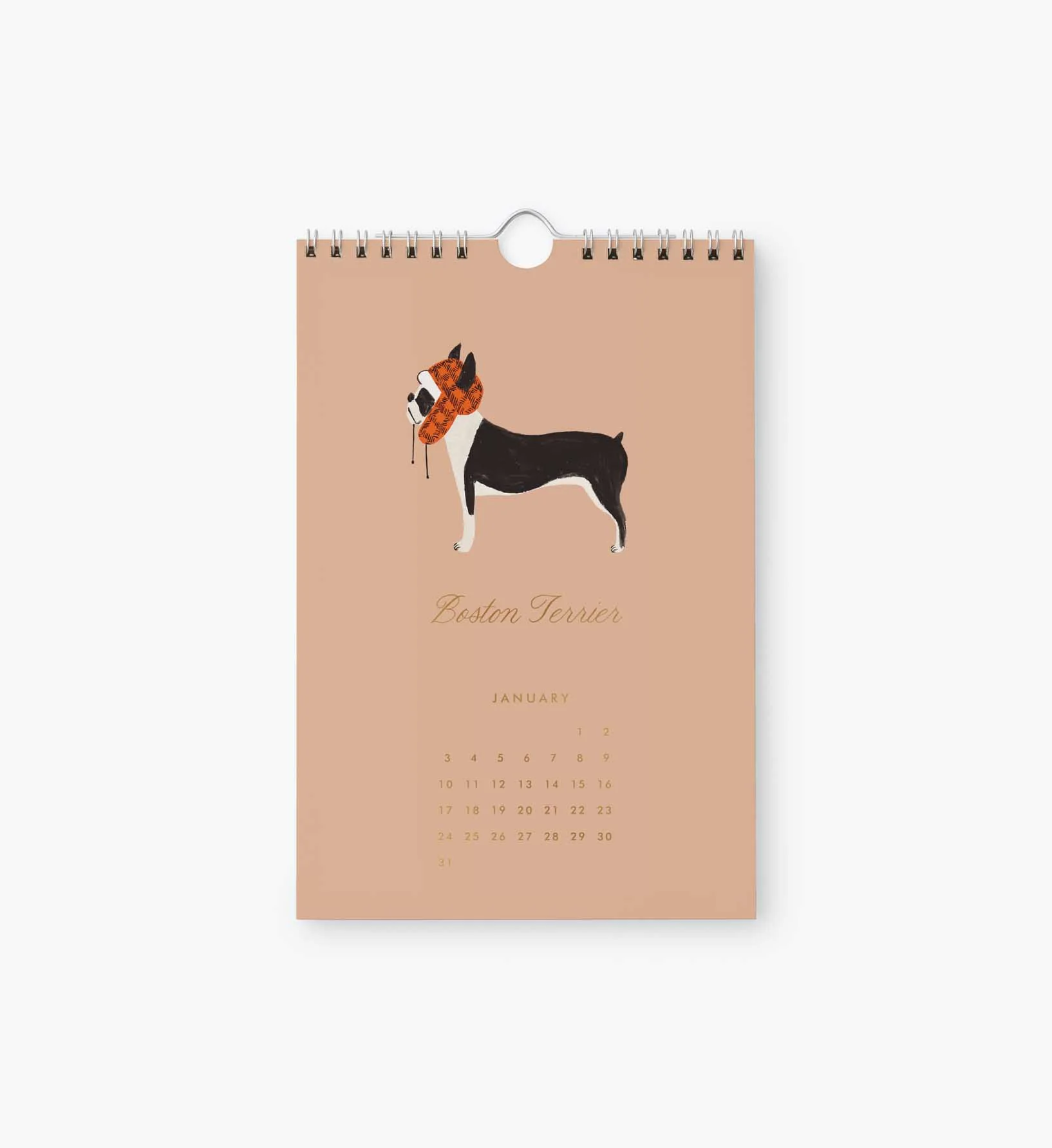 2027 Kitchen Calendar - Dog of the Month - Image 2