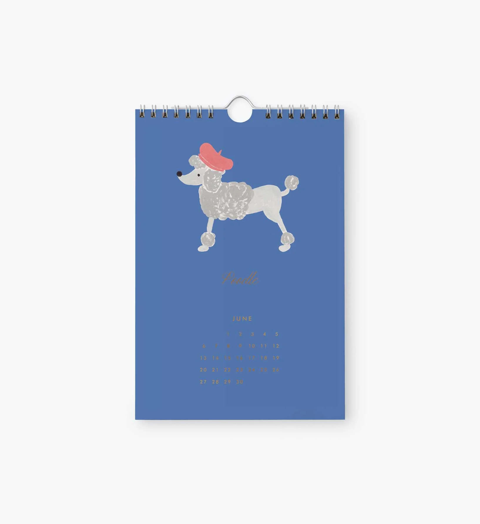 2027 Kitchen Calendar - Dog of the Month - Image 7