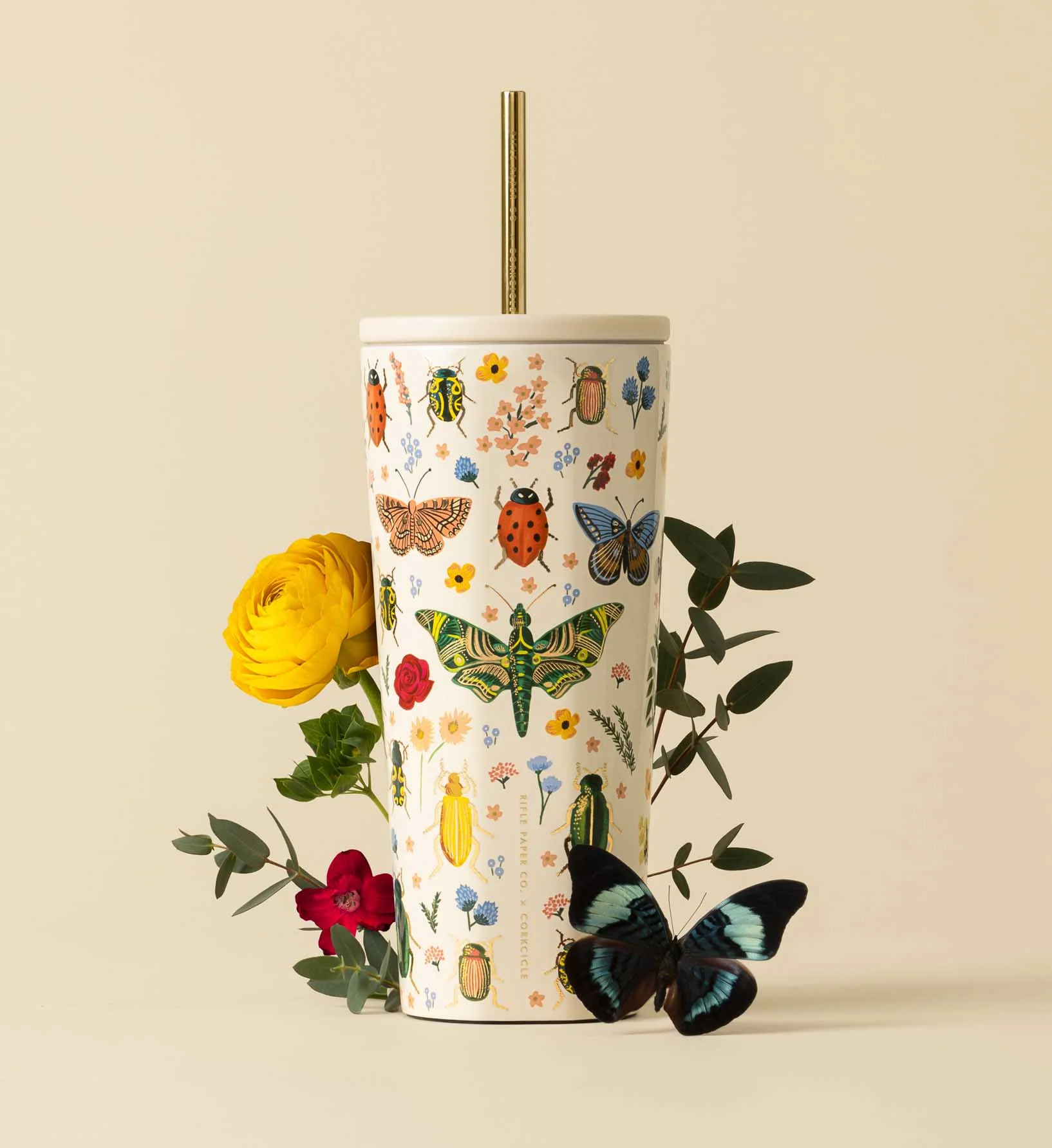 24 oz. Cold Cup - Curio - Image 2