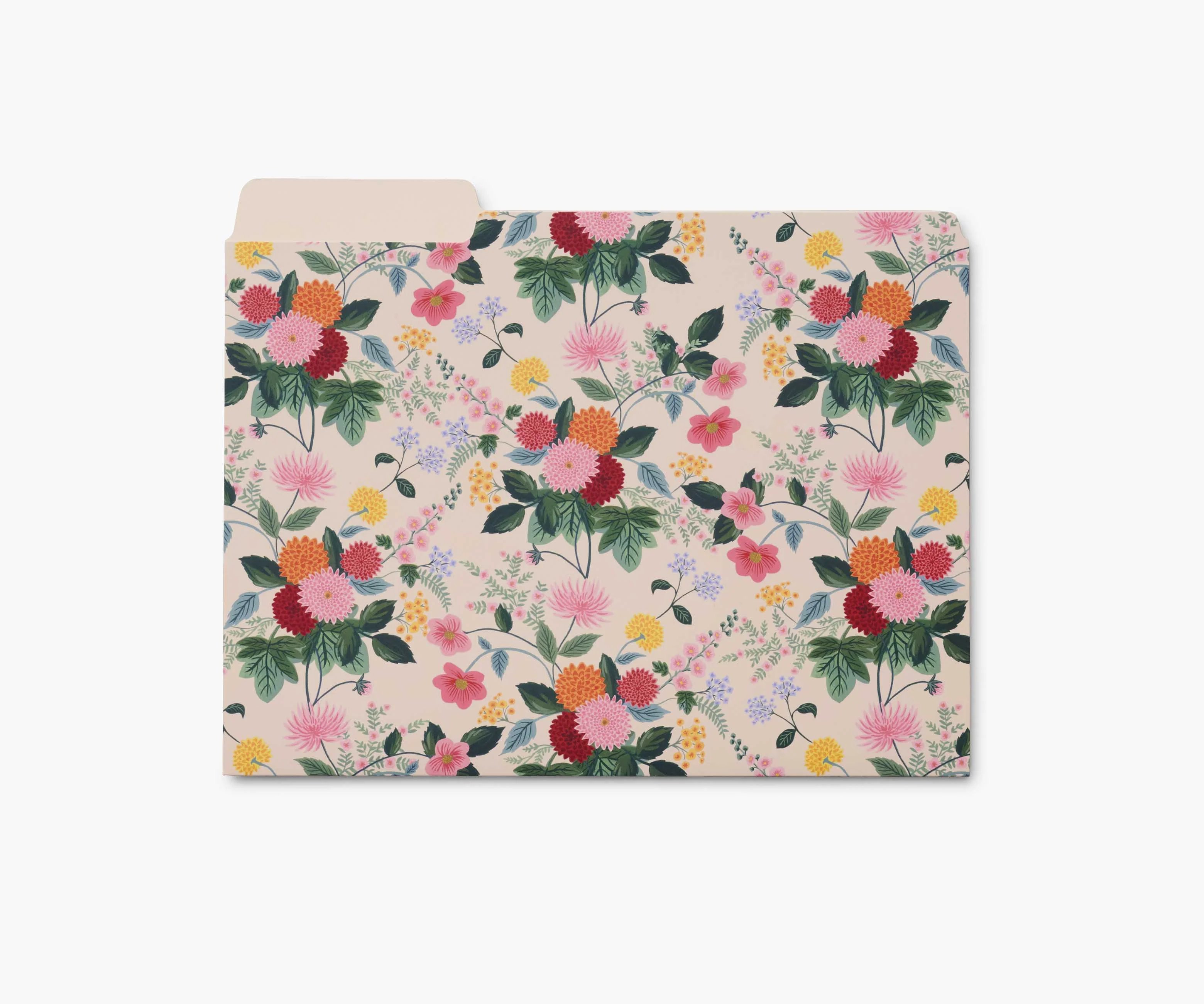 Assorted File Folders - Dahlia - Image 4