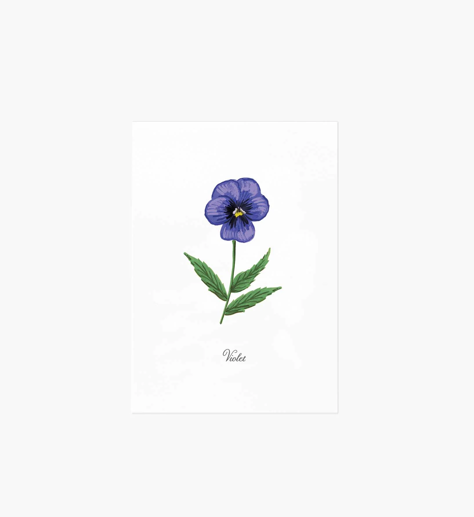 Birth Month Art Print - February