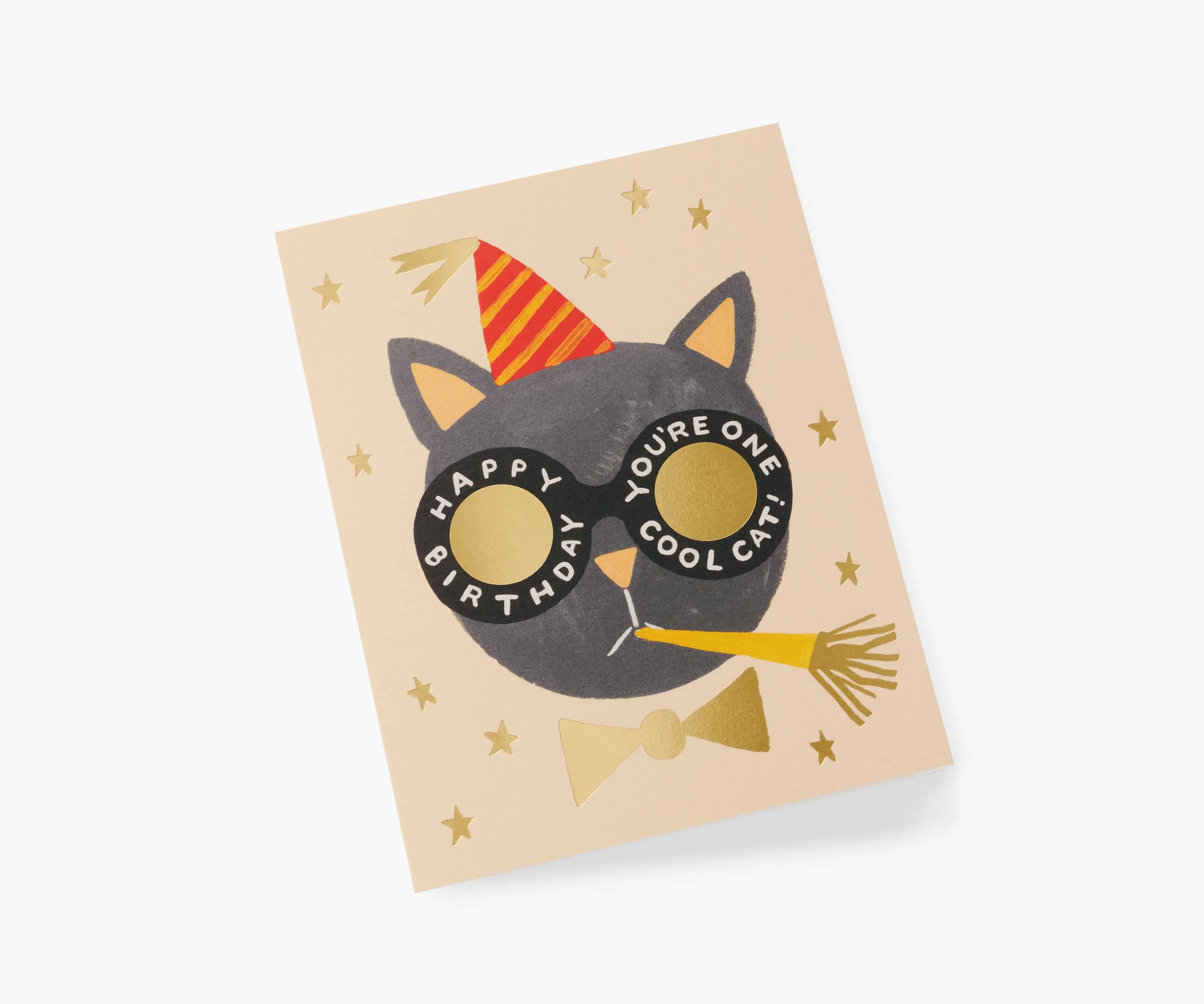 Birthday Cat Birthday Cards - Boxed Set - Image 2