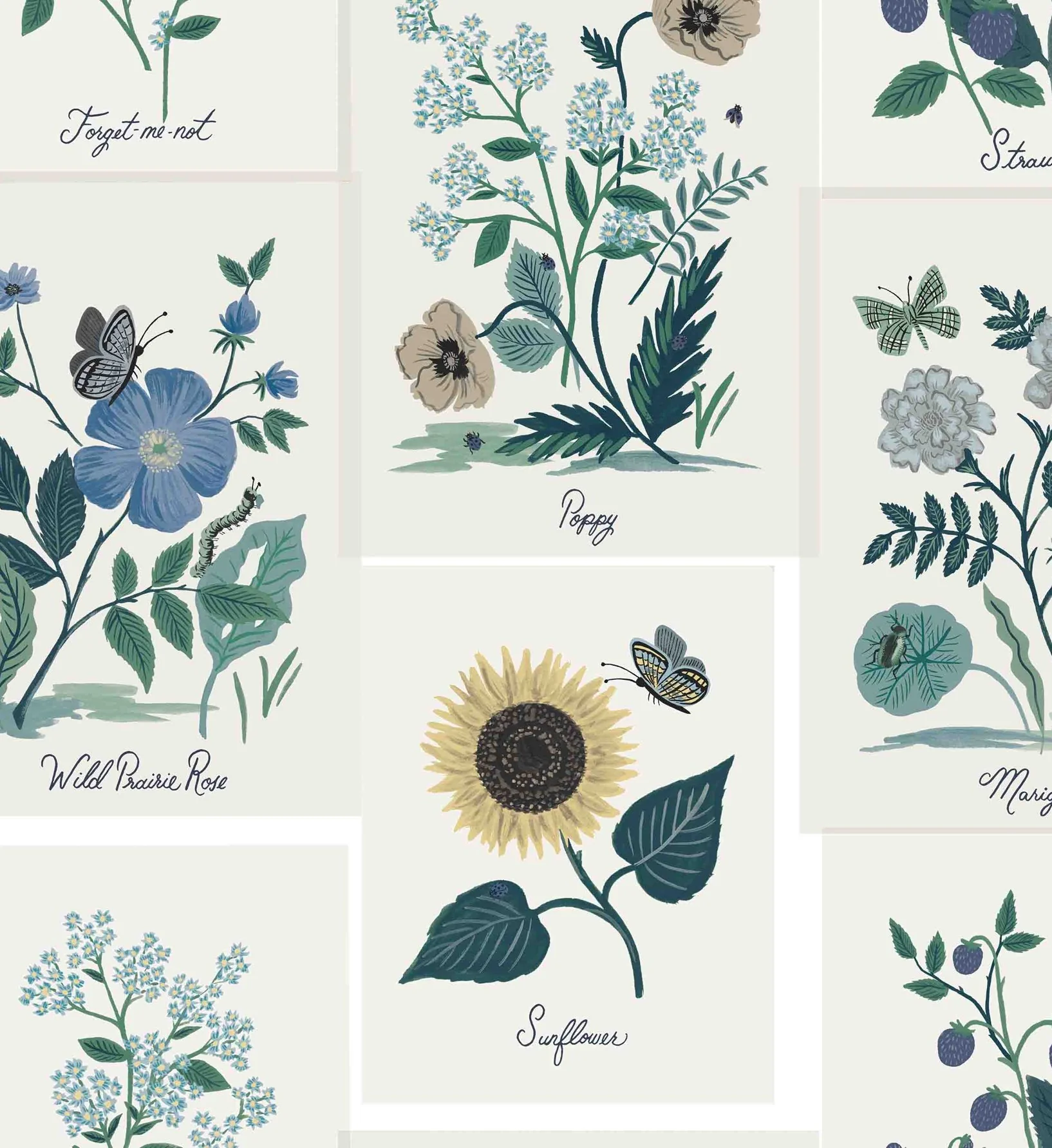 Botanical Prints Wallpaper - Indigo - Image 3
