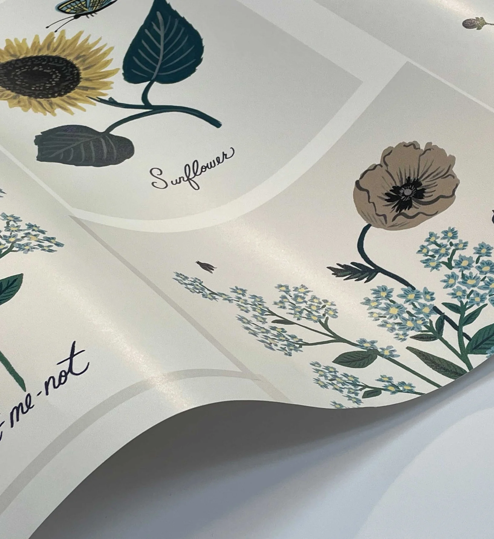 Botanical Prints Wallpaper - Indigo - Image 4