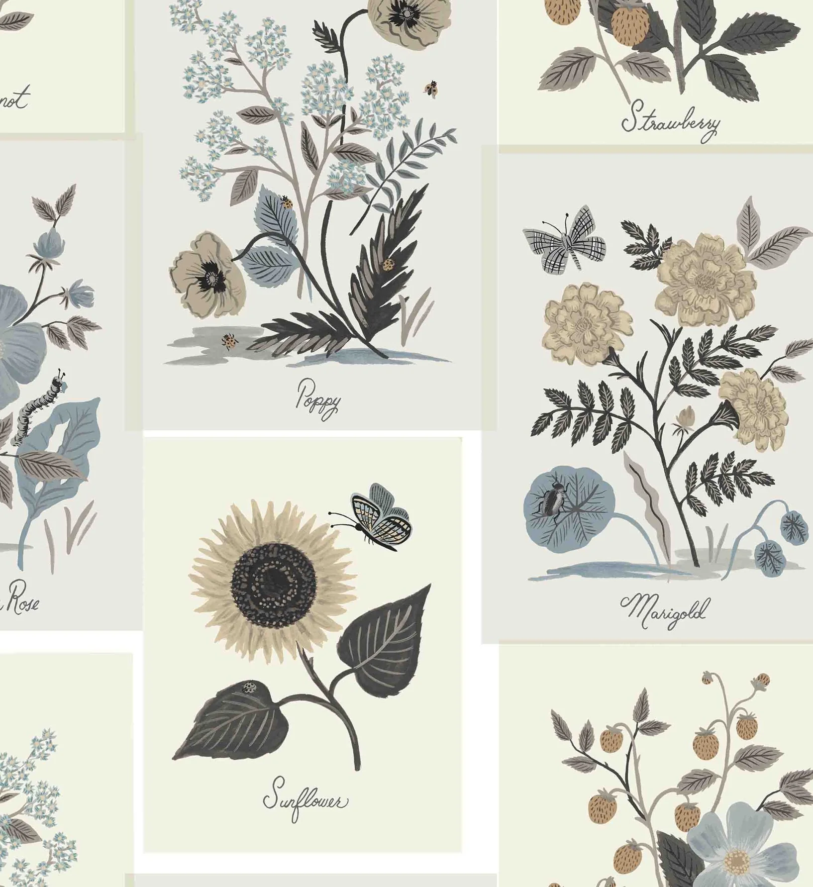 Botanical Prints Wallpaper - Linen - Image 3