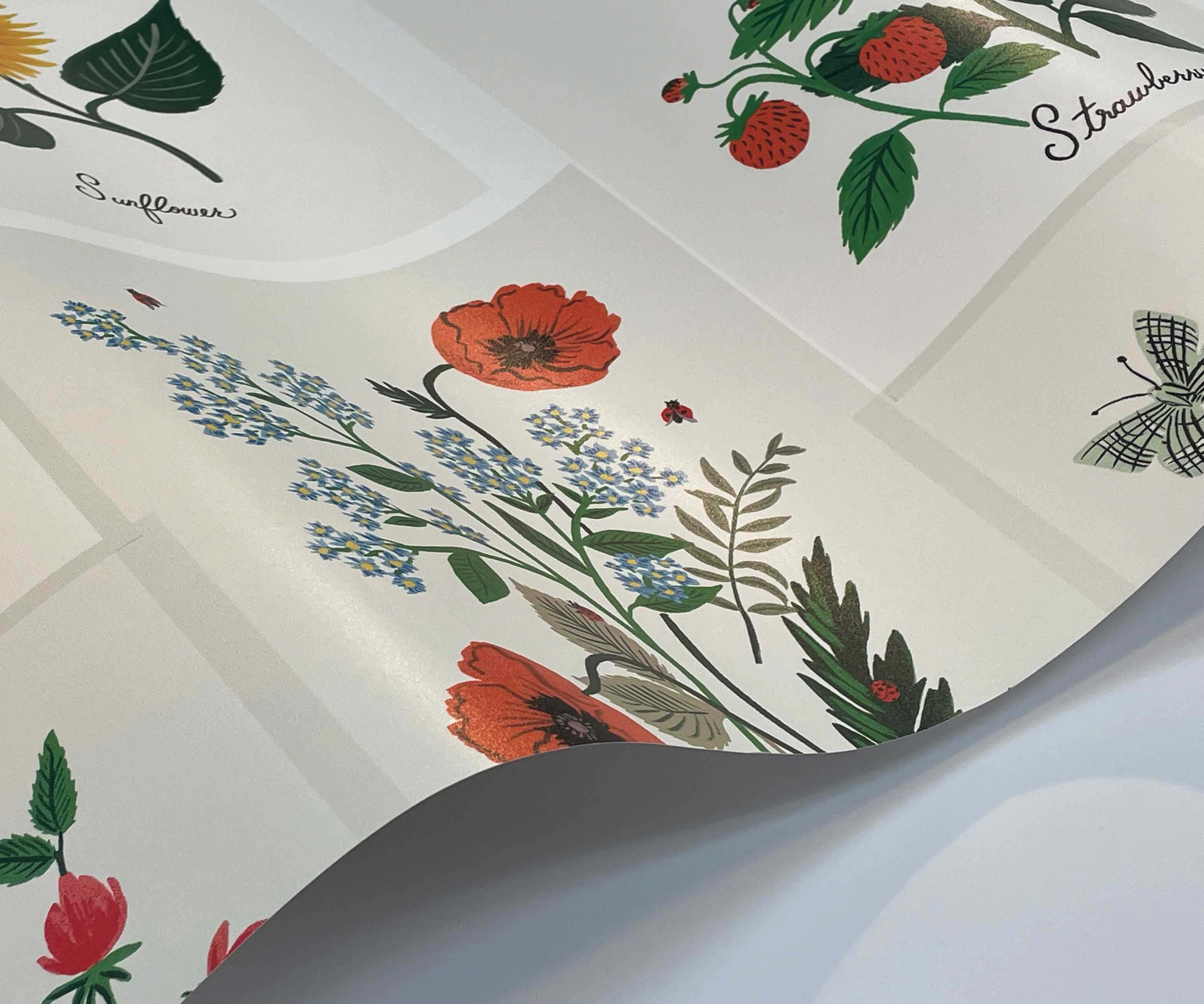 Botanical Prints Wallpaper Sample - White - Image 2