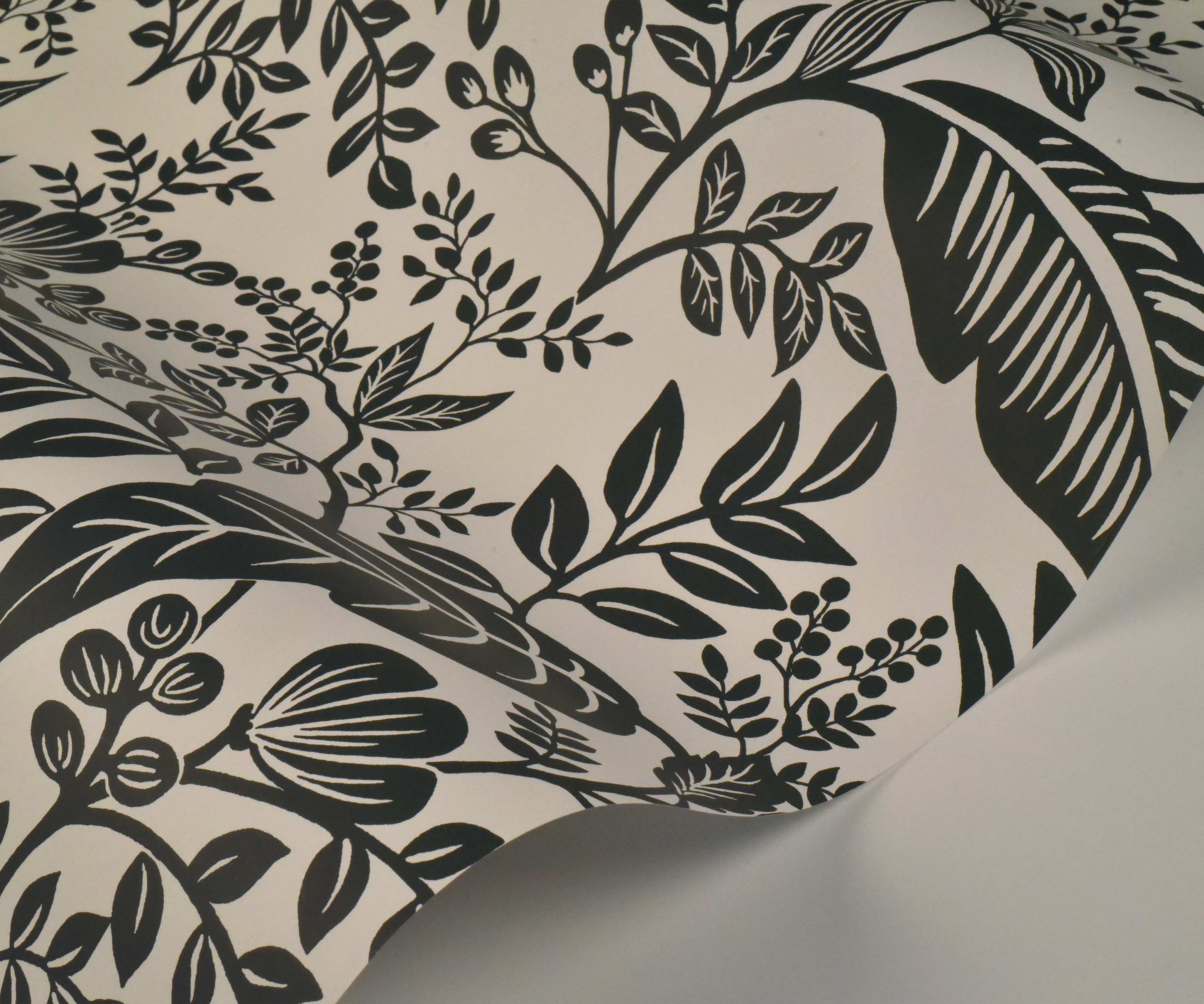 Canopy Wallpaper Sample - Black & White - Image 2