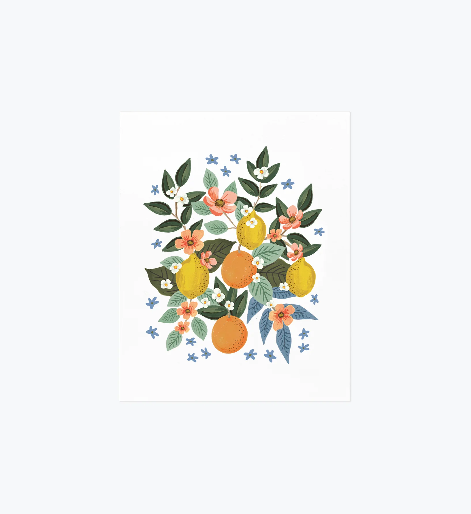 Citrus Grove Cluster Art Print