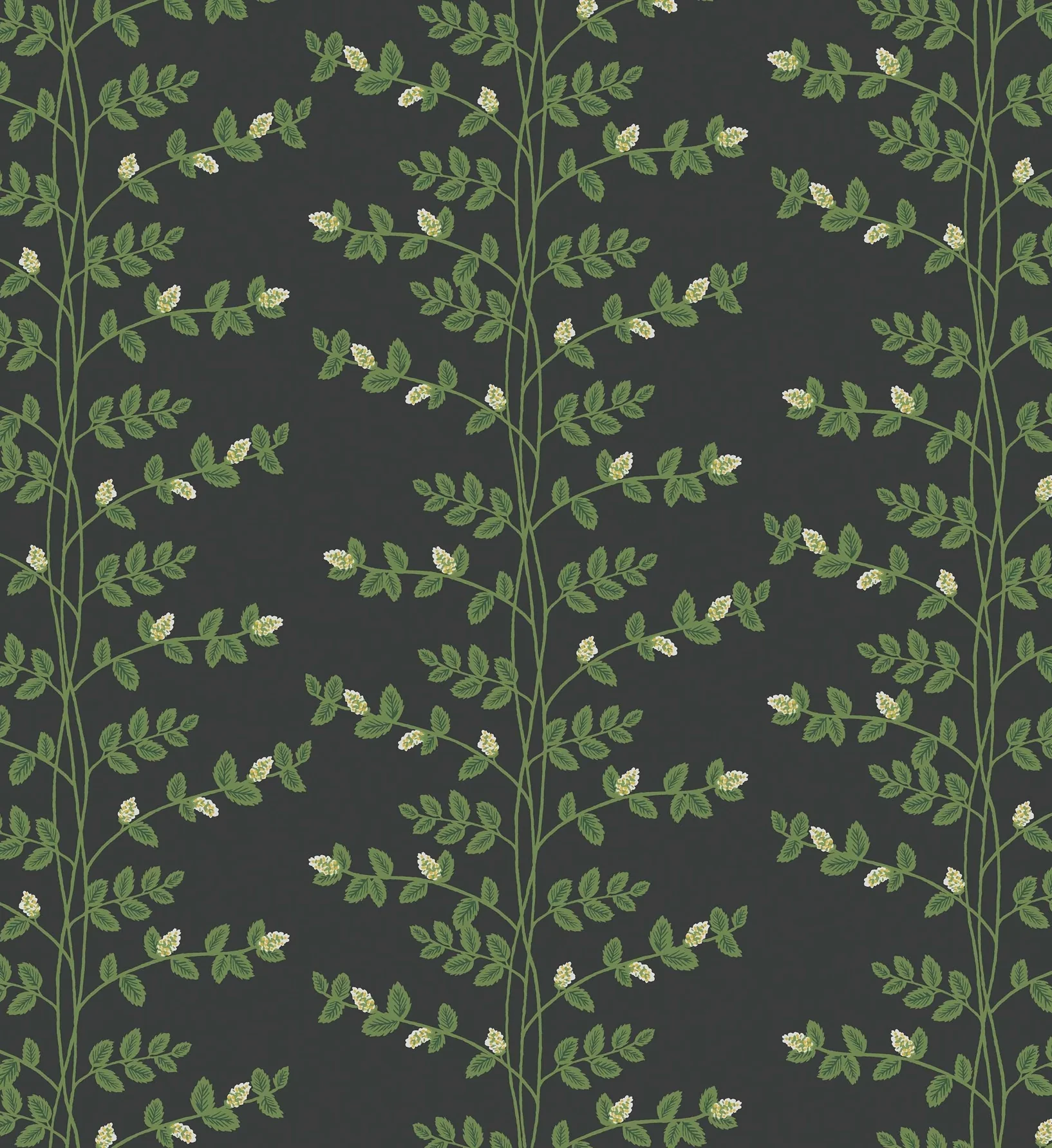 Climbing Vines Wallpaper - Black - Image 3