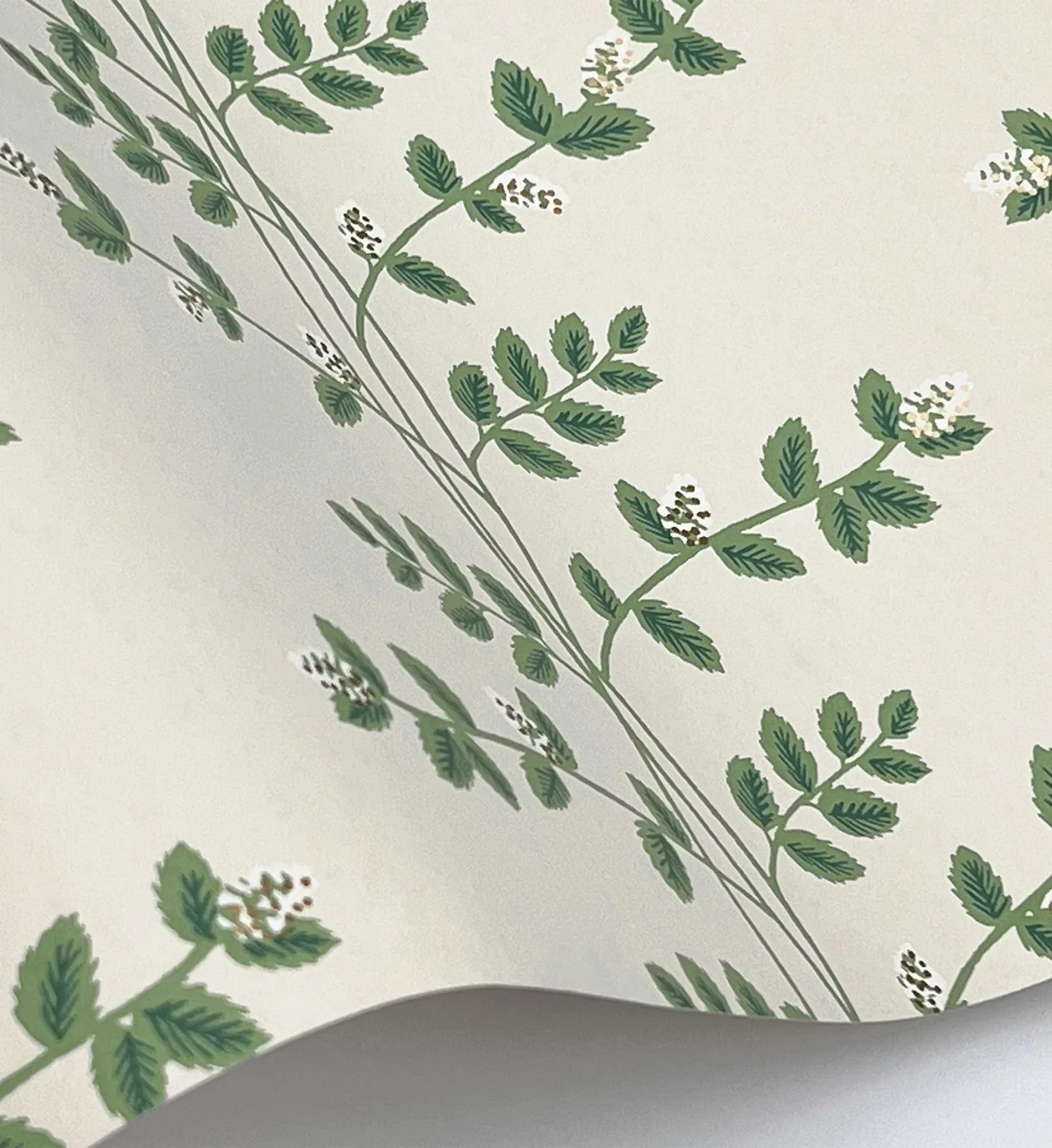 Climbing Vines Wallpaper - Linen - Image 4