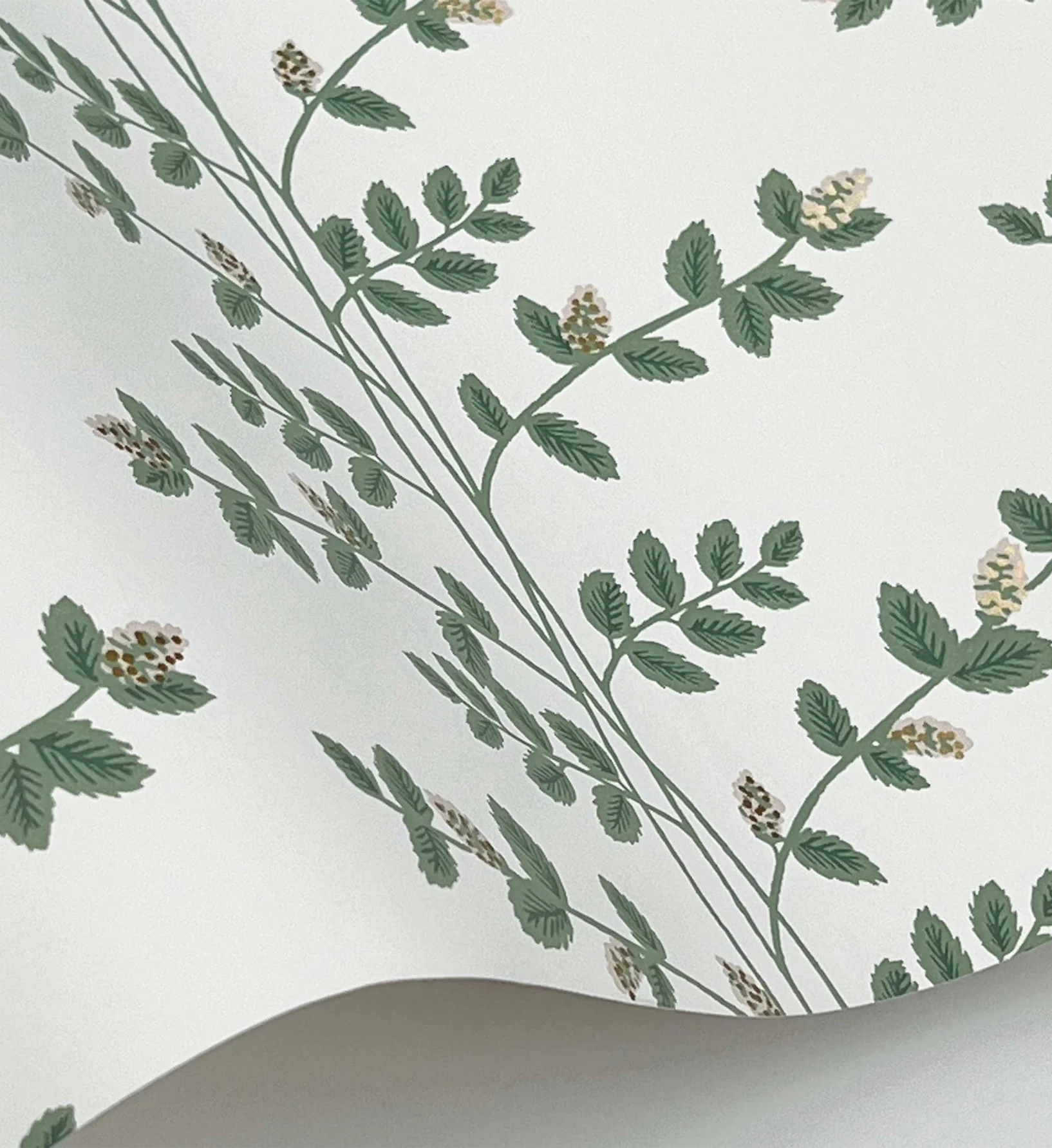 Climbing Vines Wallpaper - White & Metallic Gold - Image 4