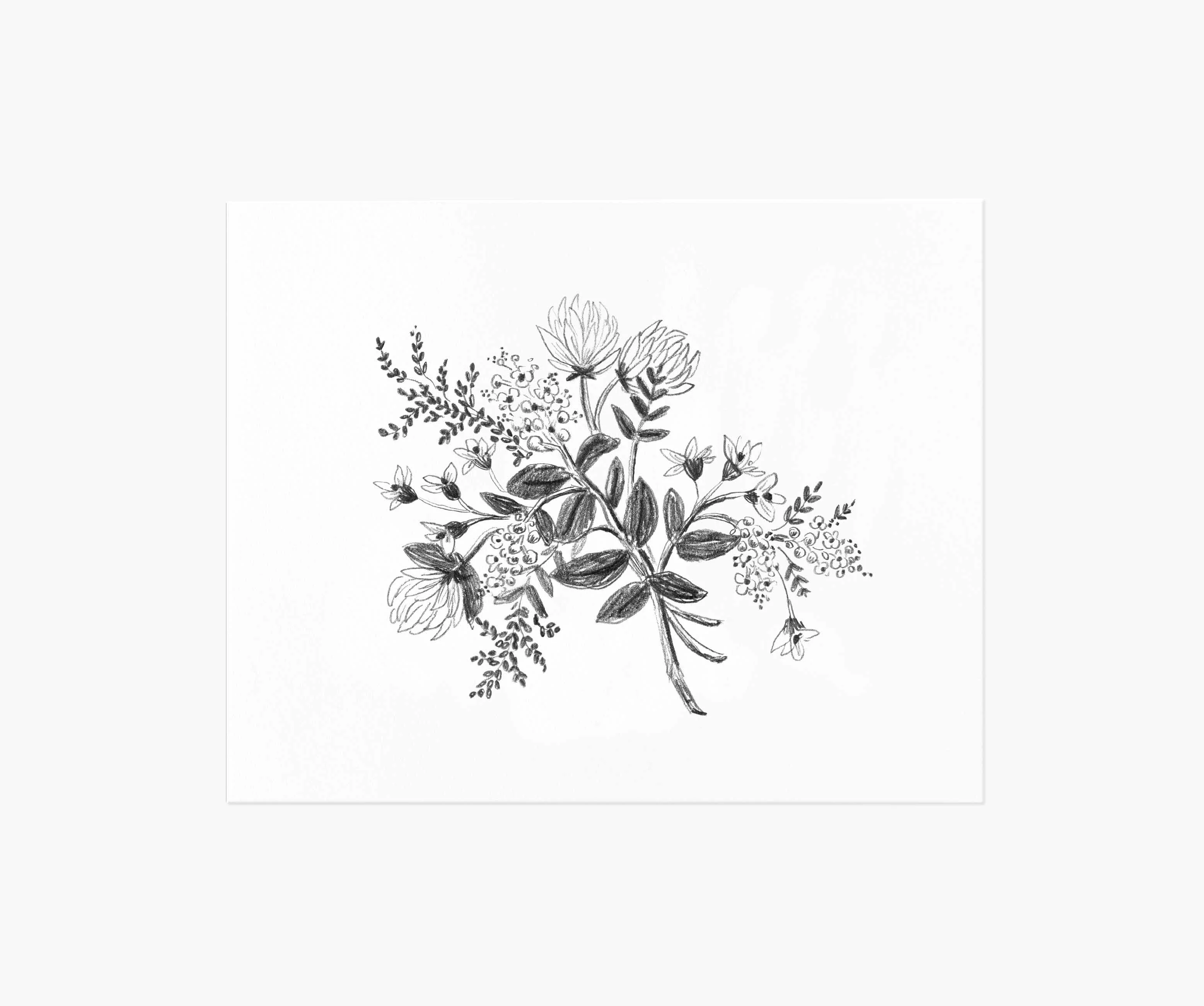 Clover Sketch Art Print