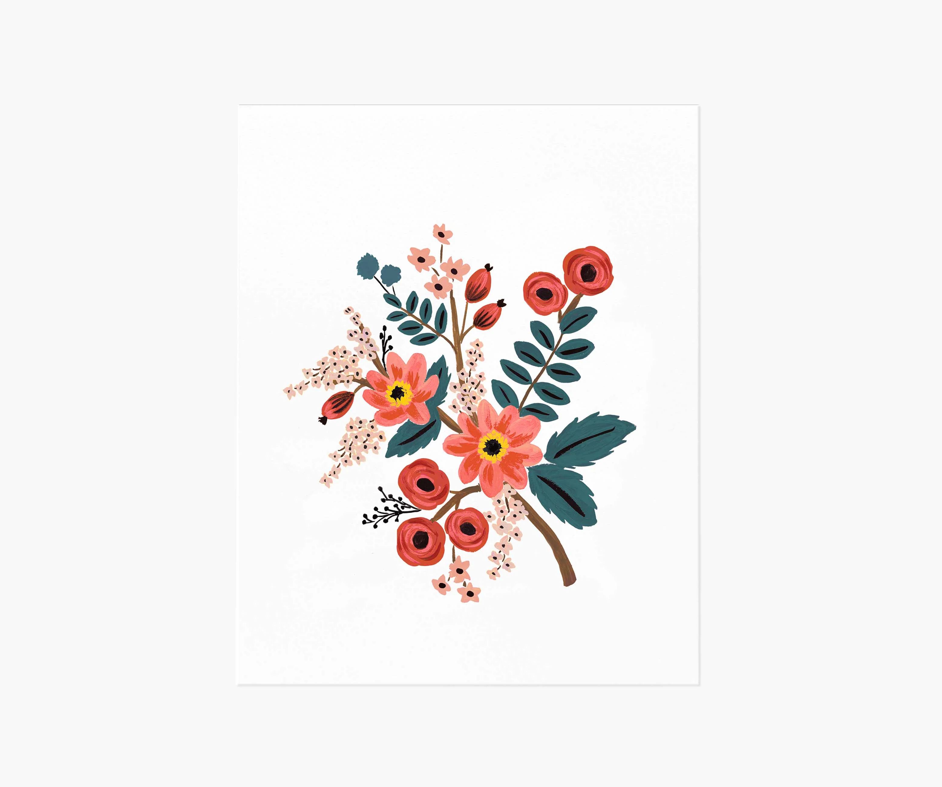 Coral Botanical Art Print
