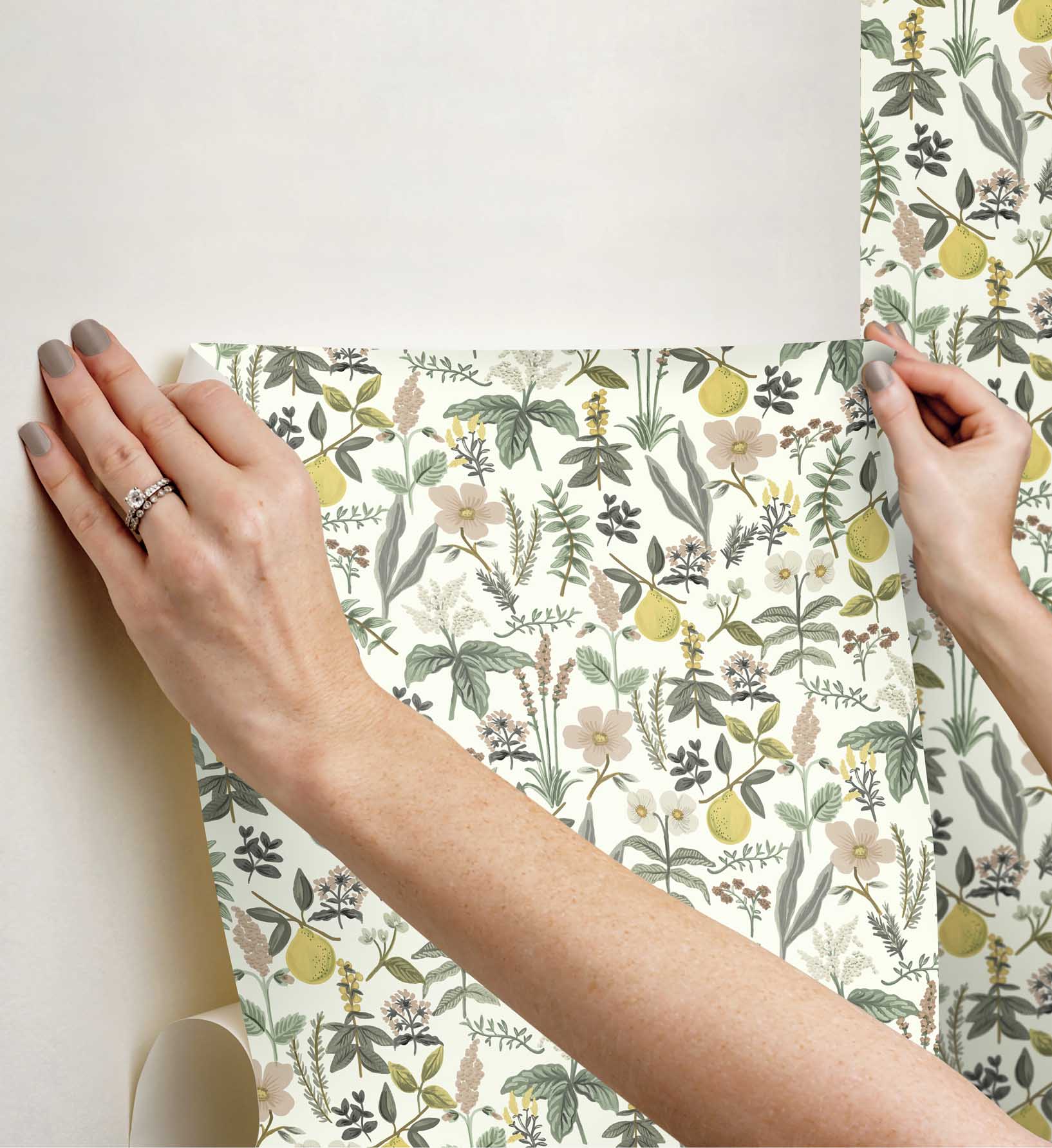 Herb Garden Peel & Stick Wallpaper - Cream - Image 3
