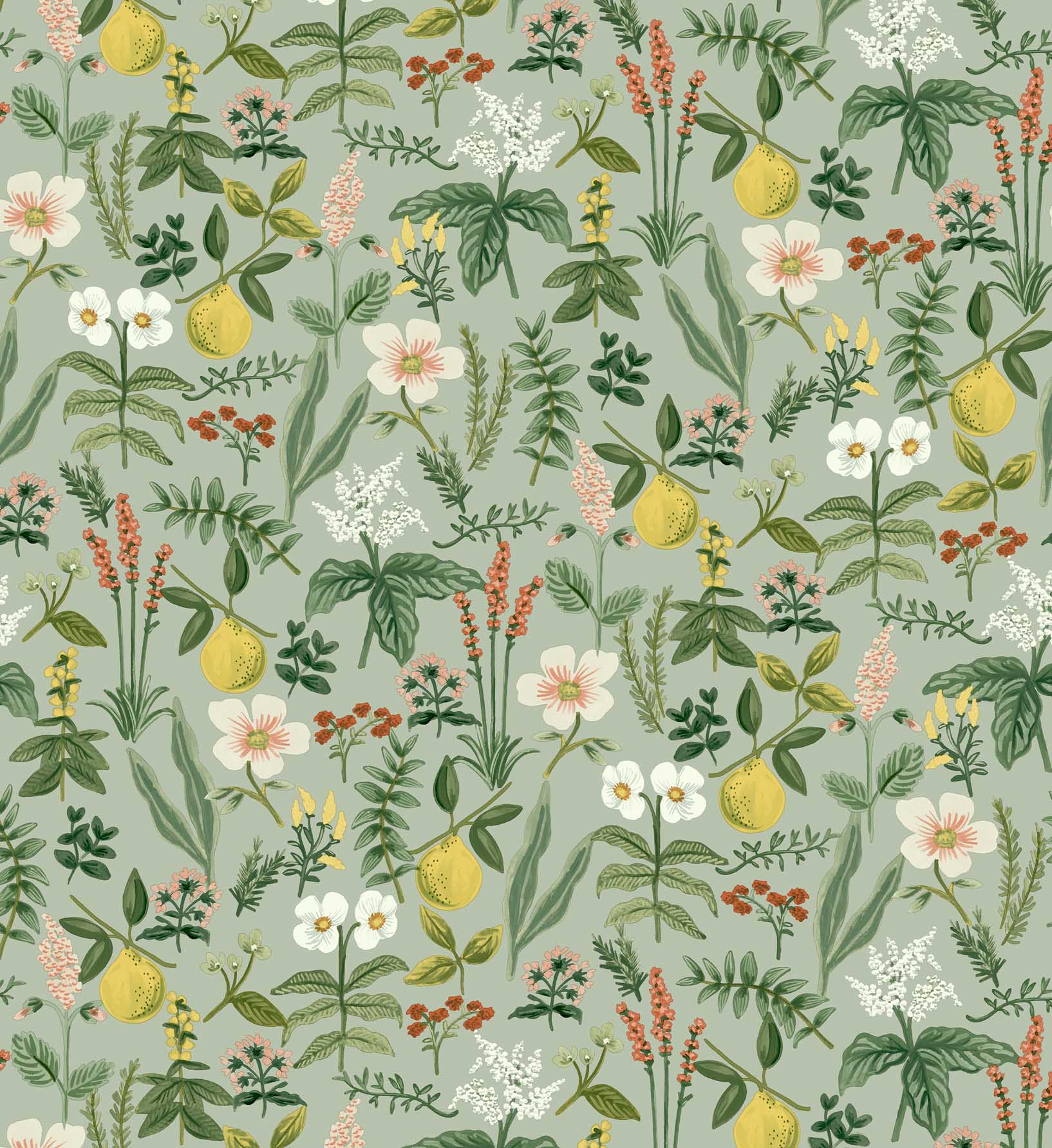 Herb Garden Peel & Stick Wallpaper - Sage - Image 4