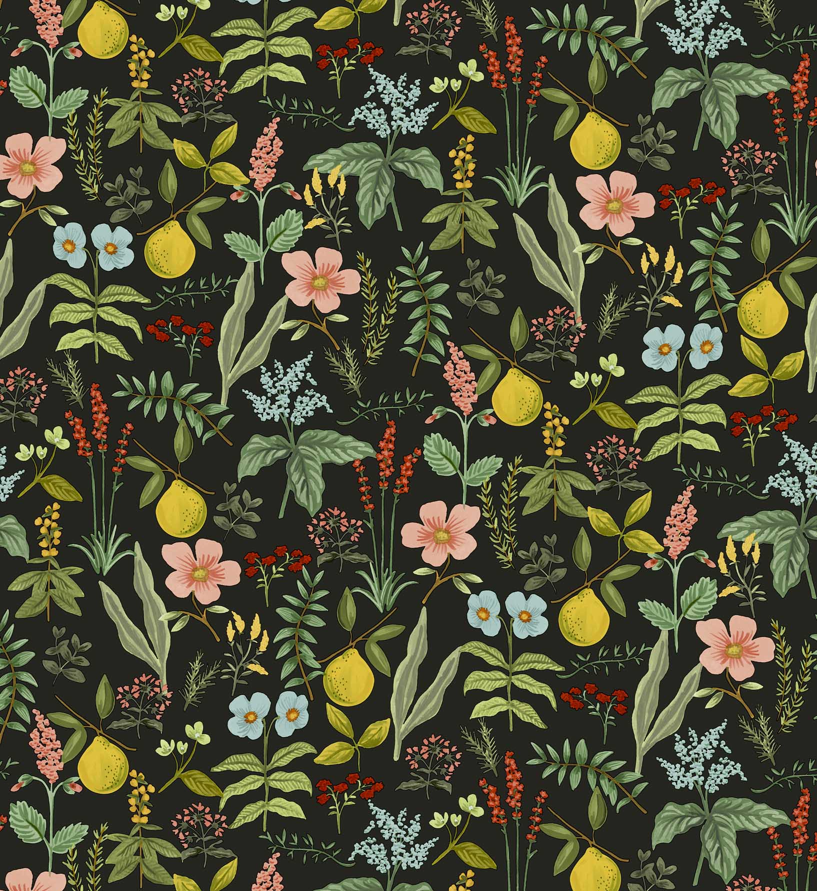 Herb Garden Peel & Stick Wallpaper Sample - Black - Image 3