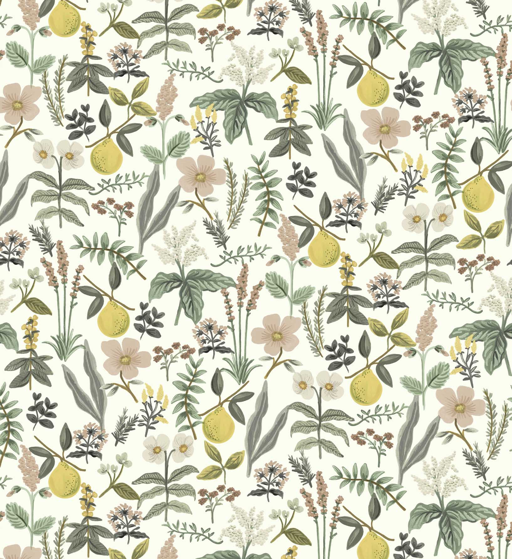 Herb Garden Peel & Stick Wallpaper Sample - Cream - Image 3