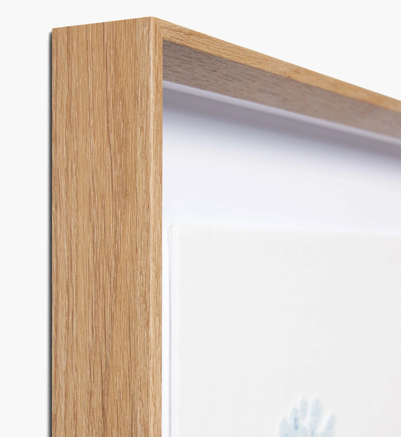 Framed Wall Art - Hydrangea Cream - Image 4