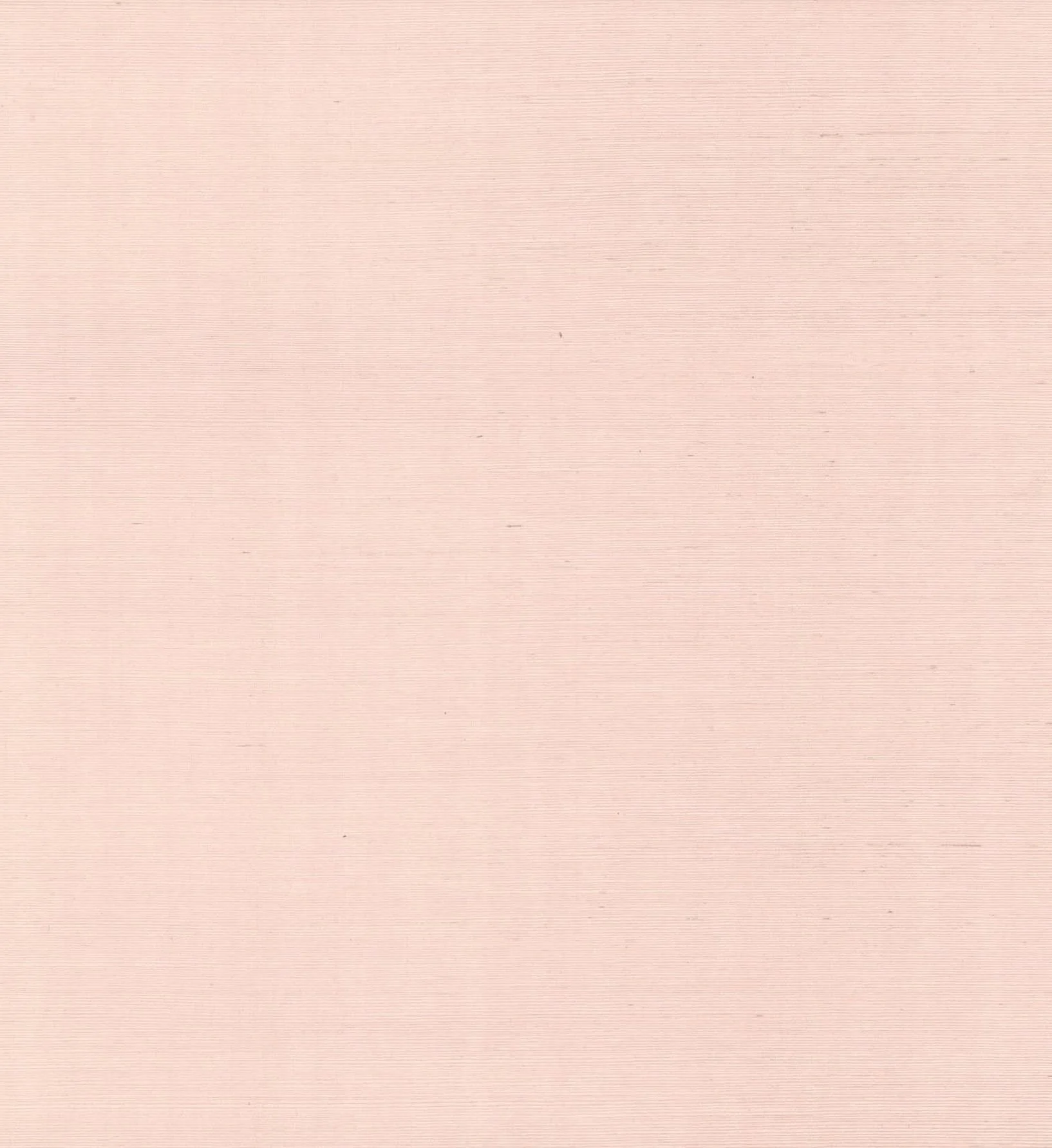 Palette Wallpaper - Blush - Image 2