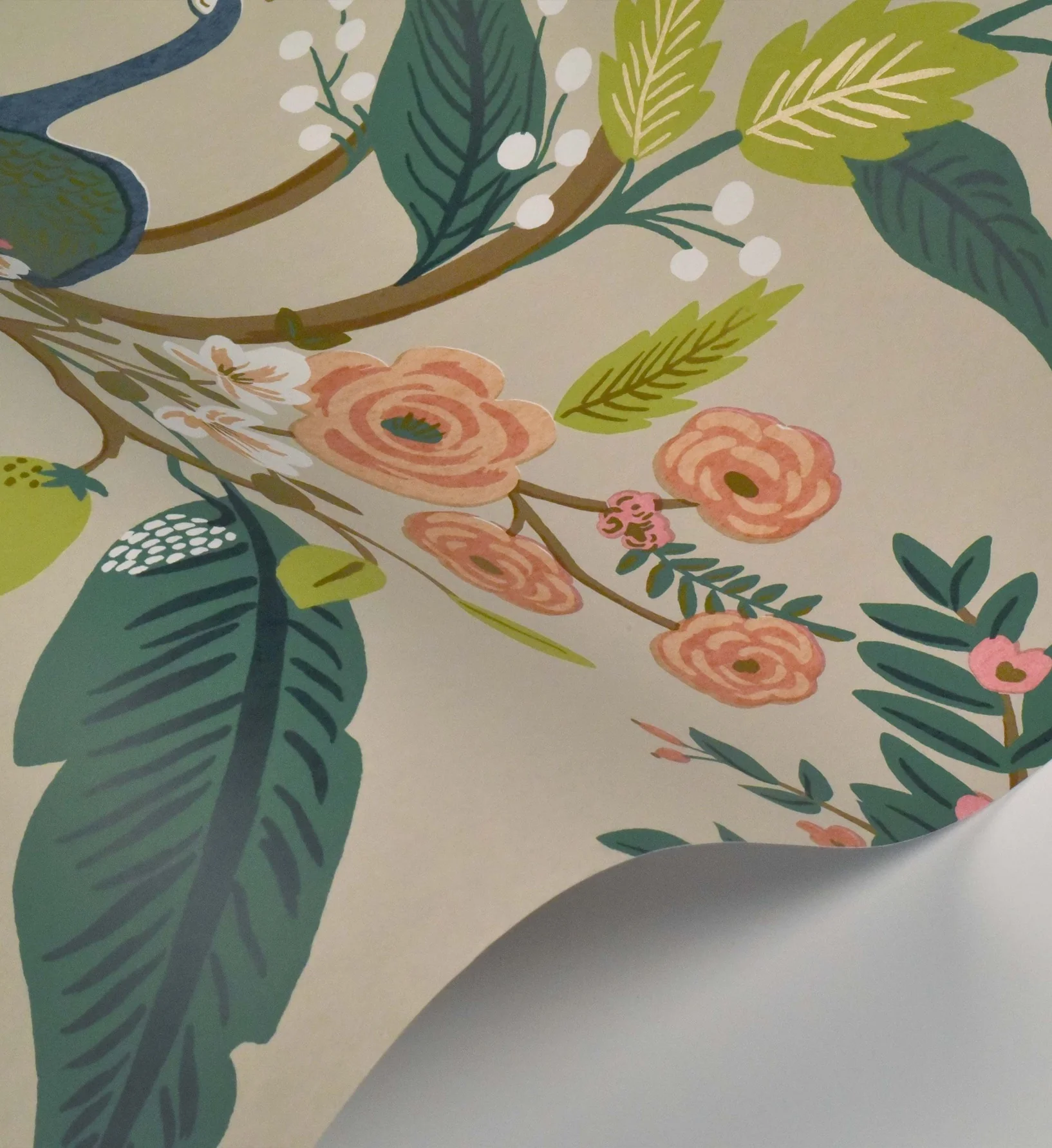 Peacock Wallpaper - Linen - Image 4