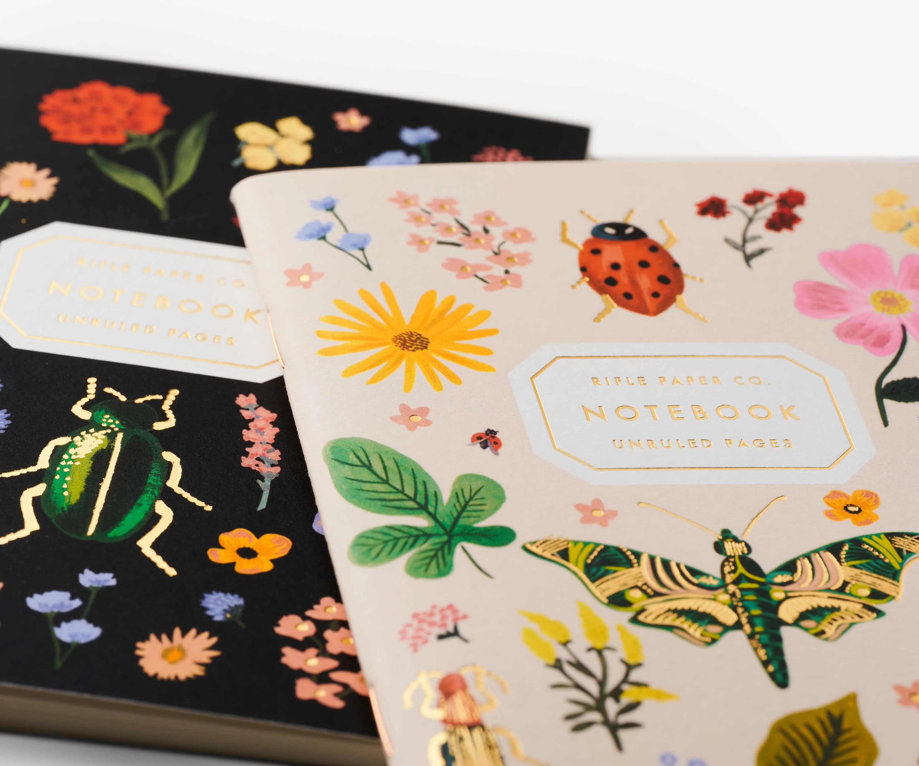 Pocket Notebook Set - Curio - Image 2