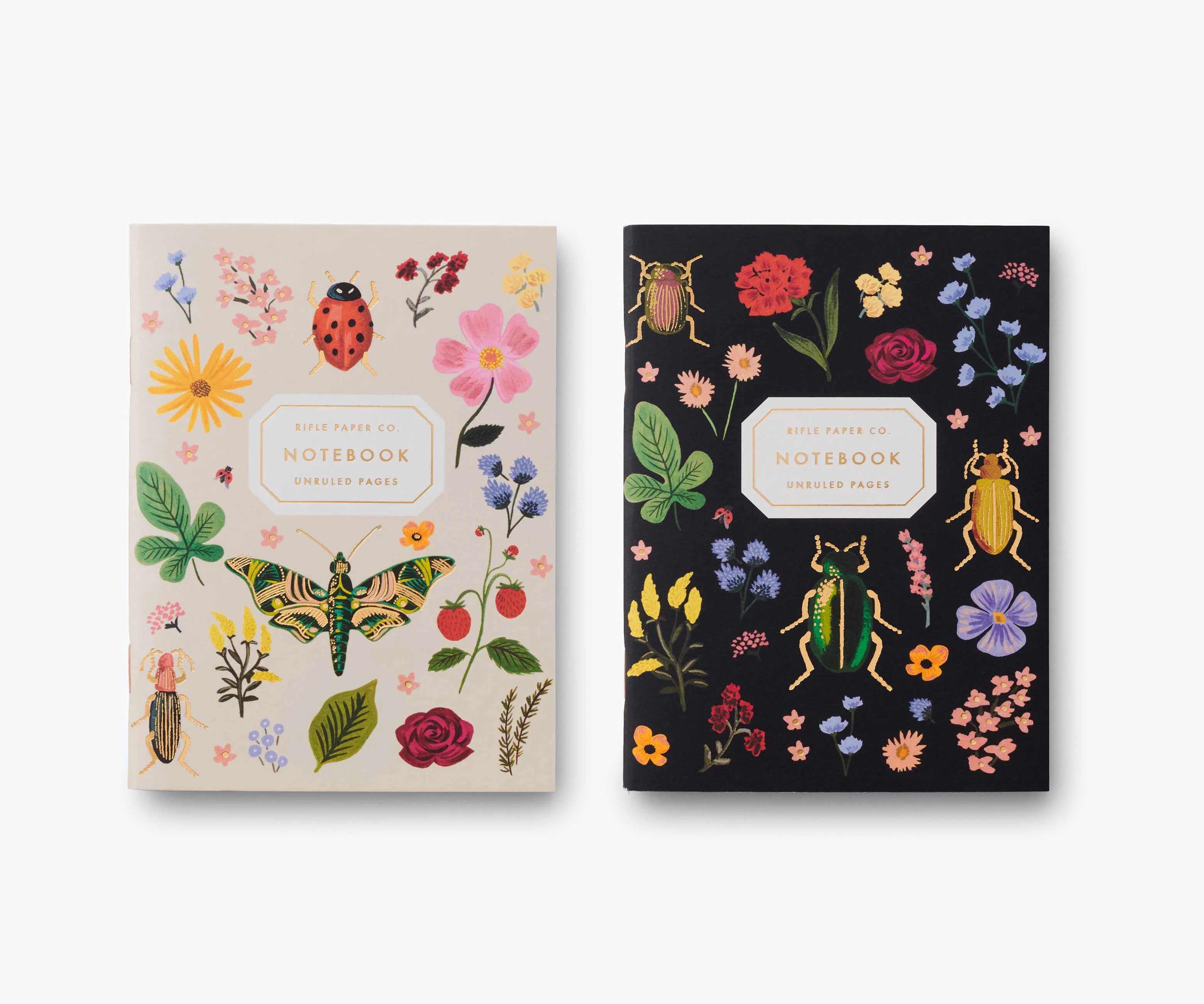 Pocket Notebook Set - Curio - Image 3