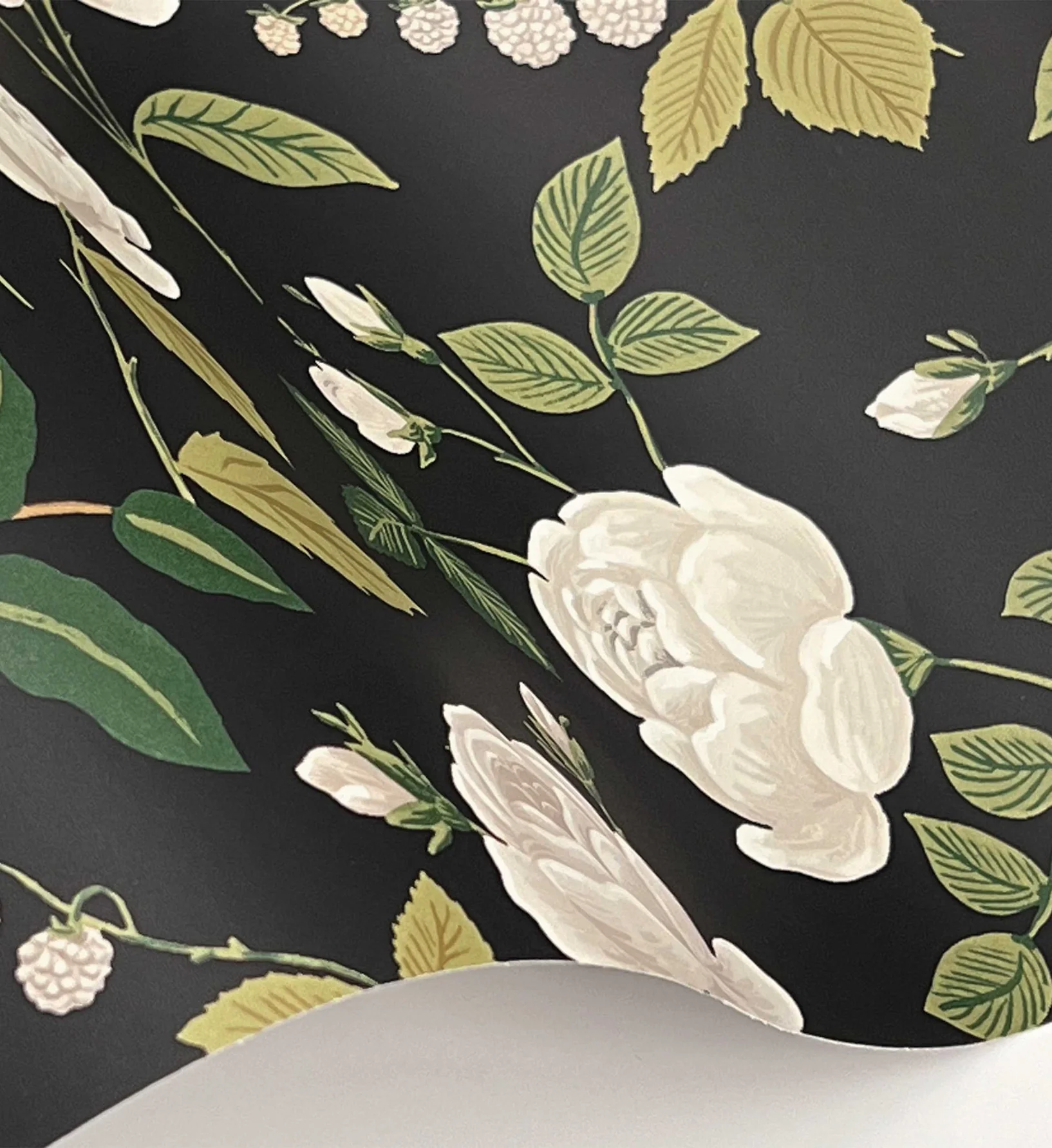 Roses Wallpaper - Black - Image 4