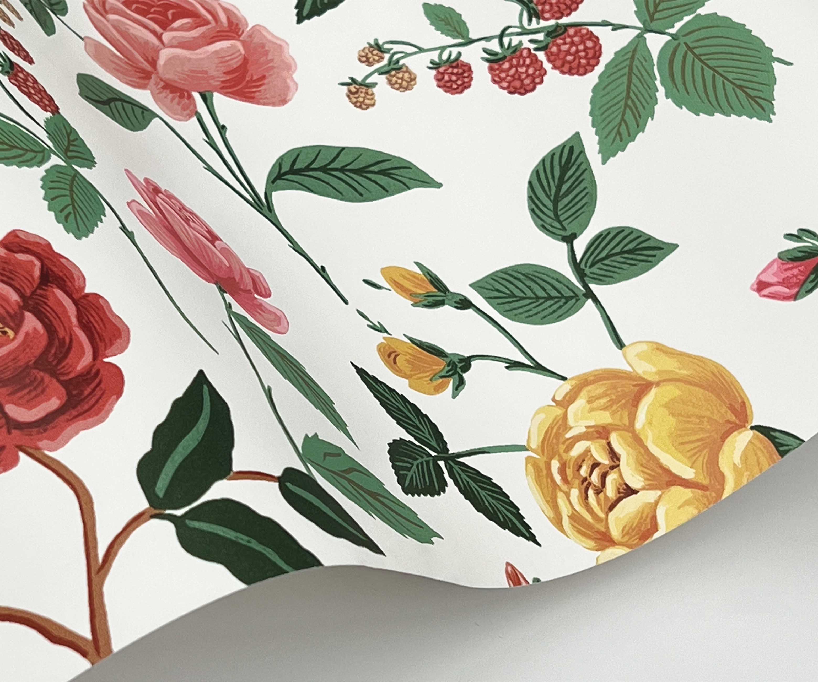 Roses Wallpaper Sample - White & Blush - Image 2