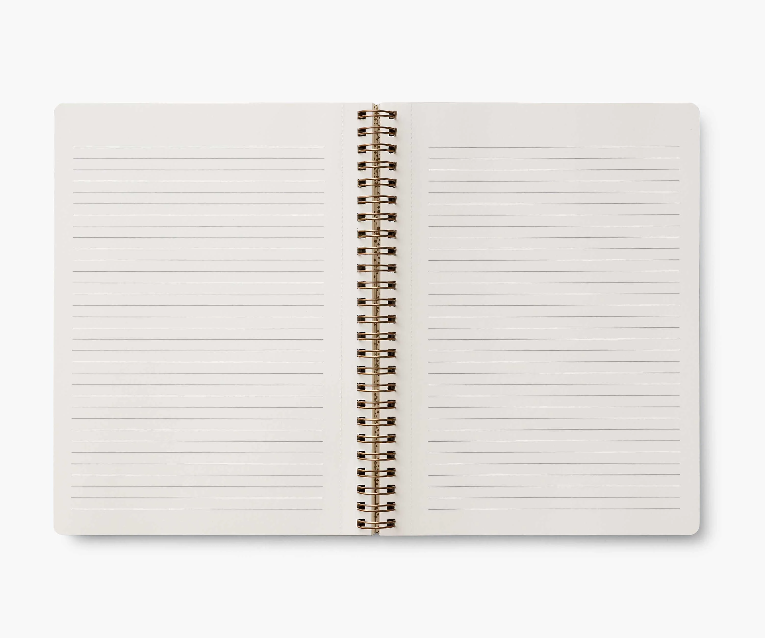 Spiral Notebook - Curio - Image 2