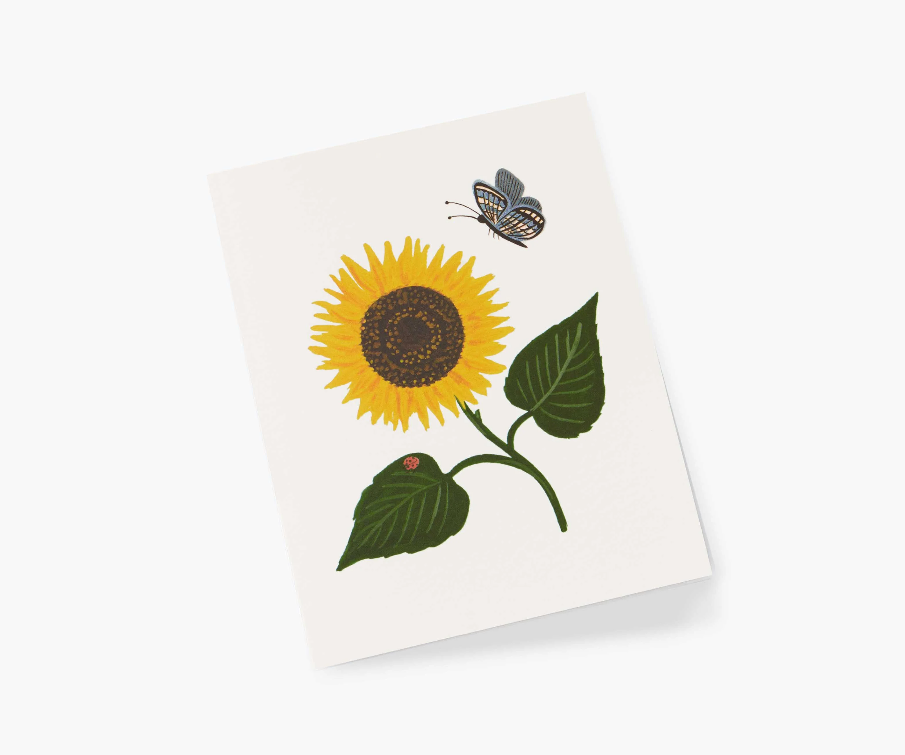 Sunflower Everyday Card - Single Card - Image 2