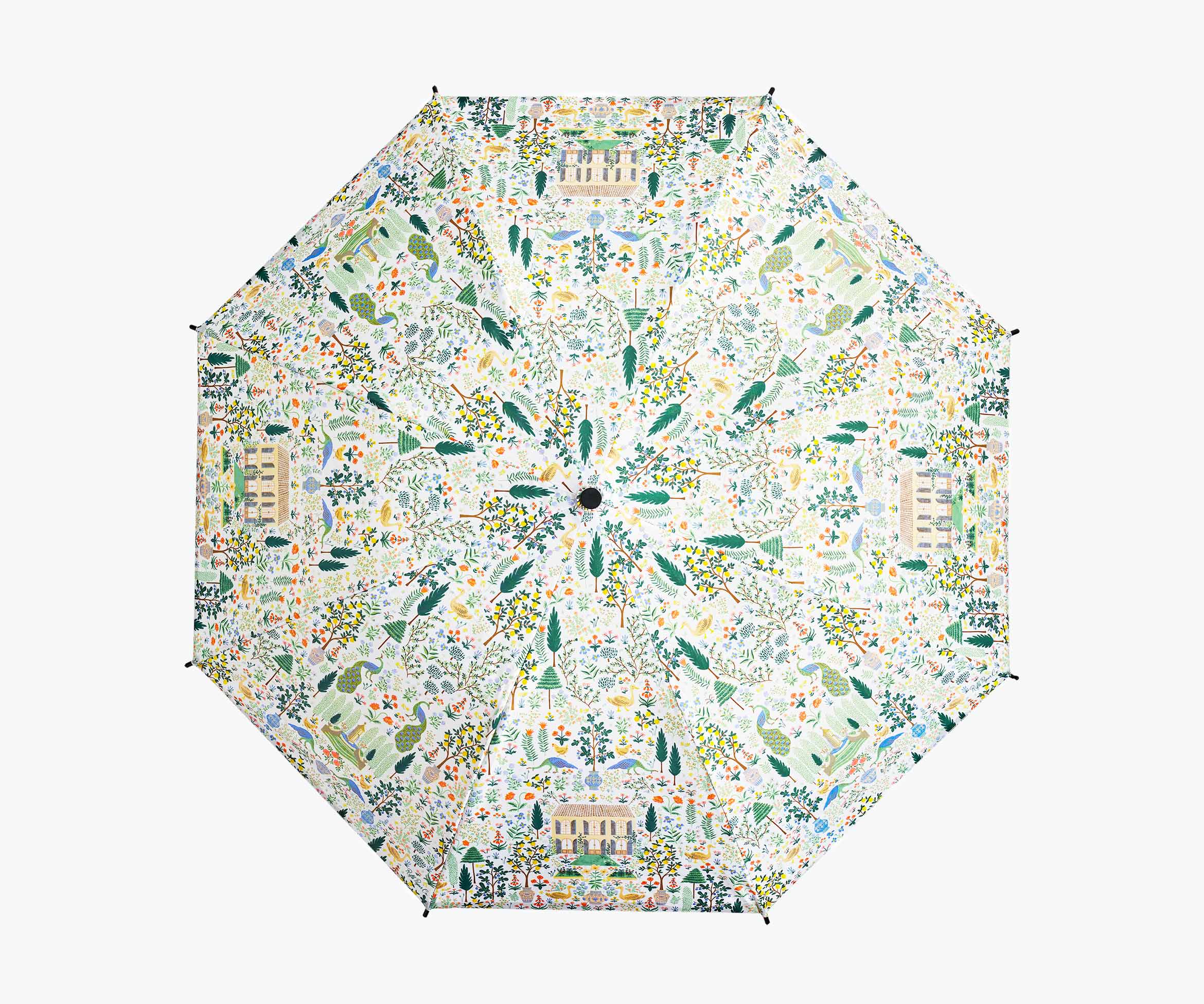 Umbrella - Camont - Image 3