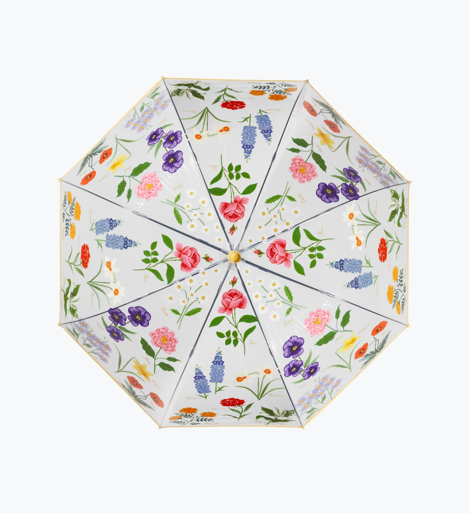 Umbrella - Garden Study - Image 4