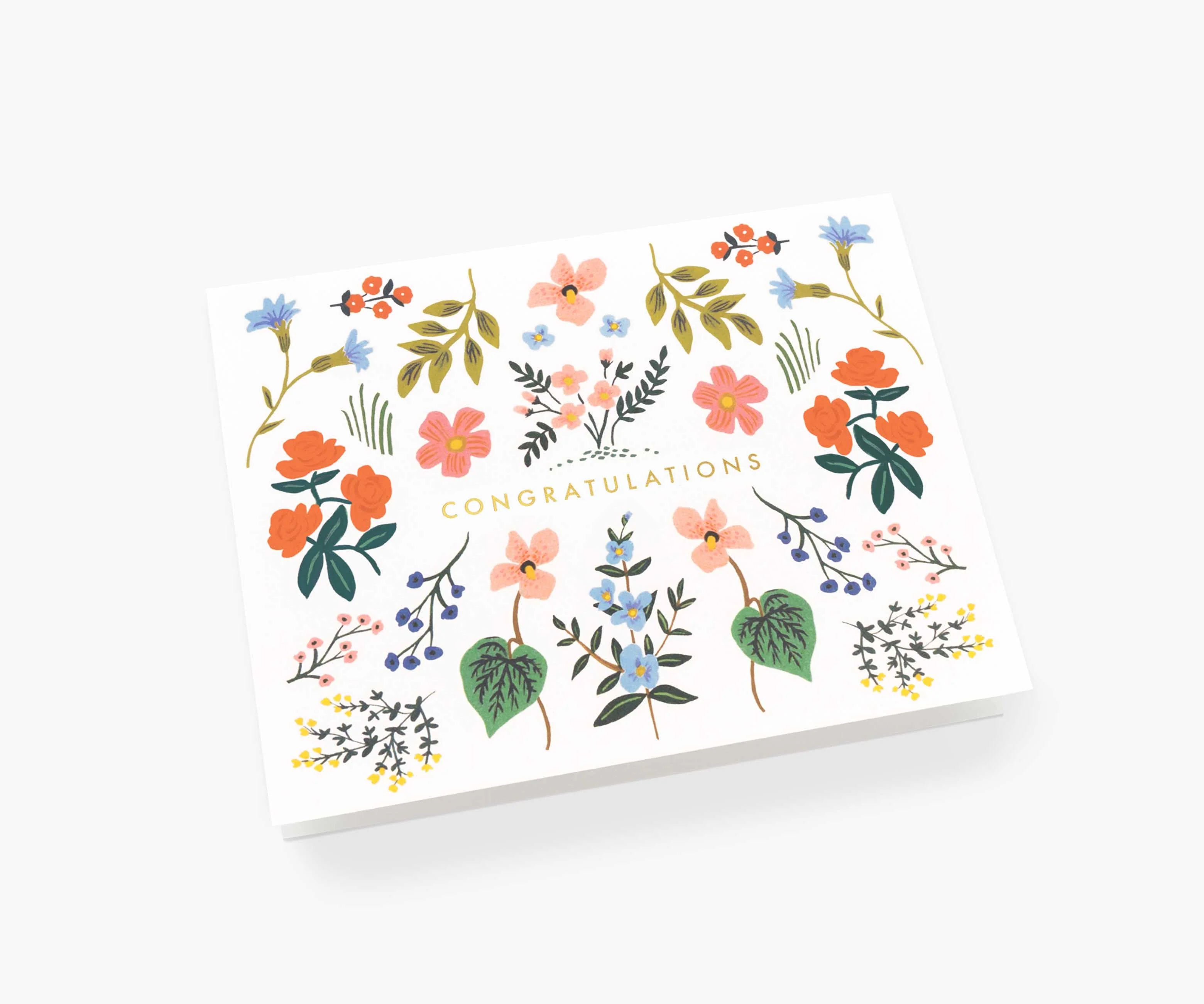 Wildwood Congrats Cards - Boxed Set - Image 2