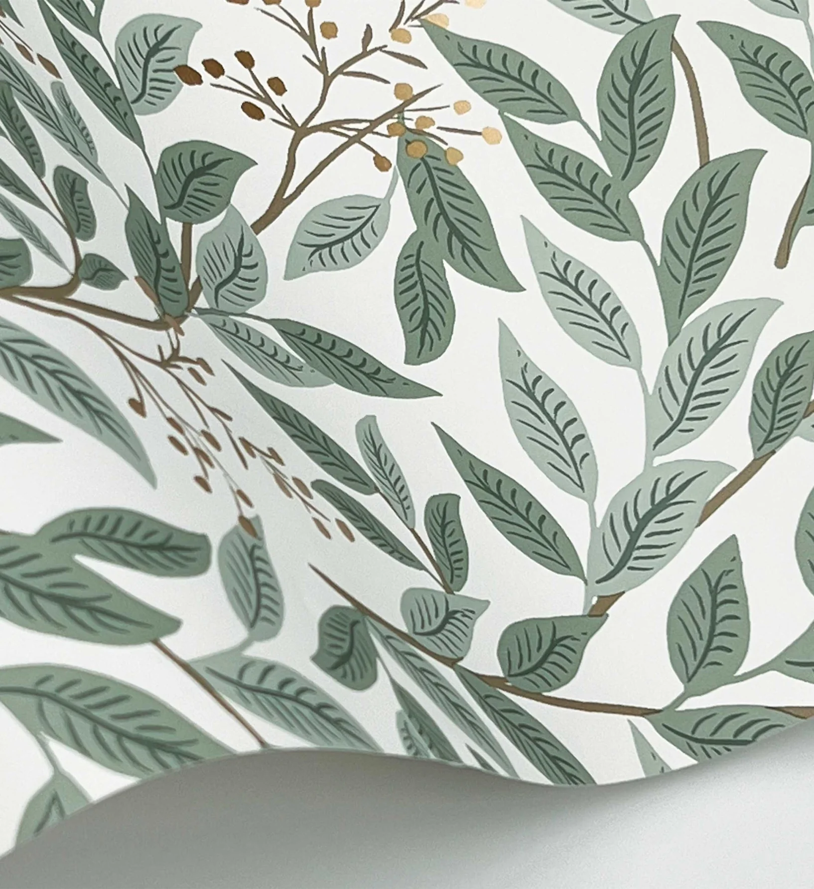 Willowberry Wallpaper - Sage & White - Image 3