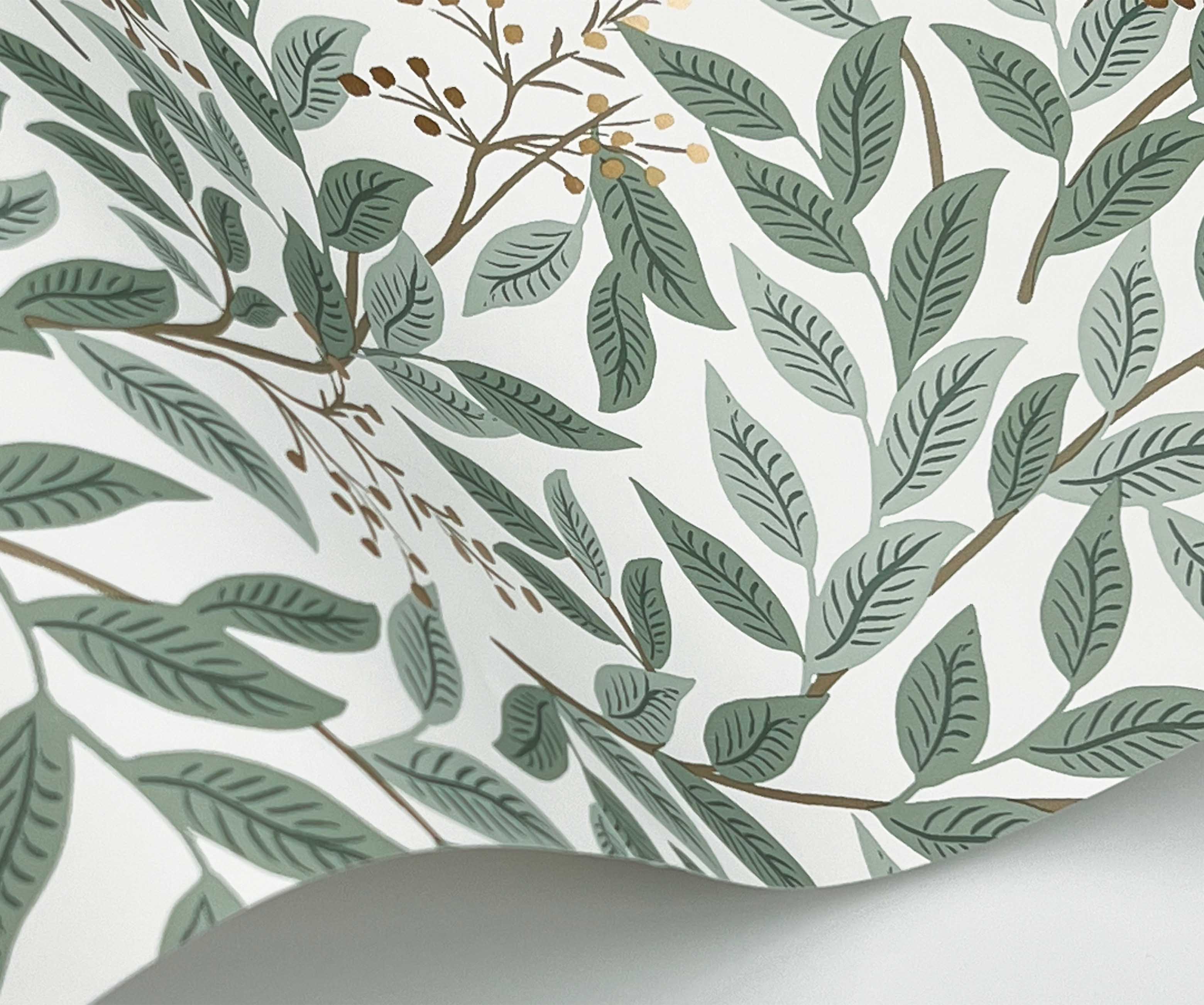 Willowberry Wallpaper Sample - Sage & White - Image 2